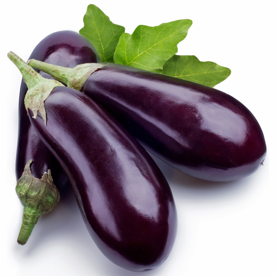 Eggplant Penis 107
